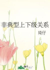 非典型上下級關係