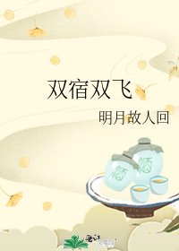 雙宿雙飛