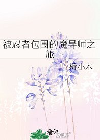 (火影同人)被忍者包圍的魔導師之旅