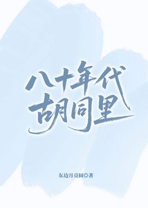 八十年代衚衕裏
