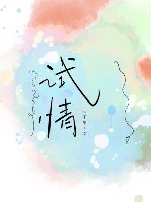 試情