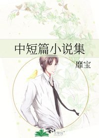 中短篇小説集