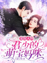 寵你入懷:君少的萌寶媽咪
