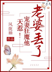 天惹!寵妻狂魔他老婆丟了!