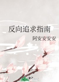 反向追求指南