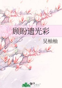 顧盼遺光彩
