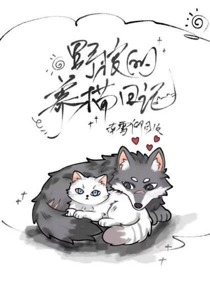野狼的養貓日記
