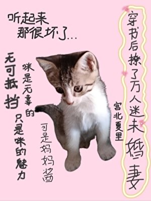 穿書後撩了萬人迷未婚妻