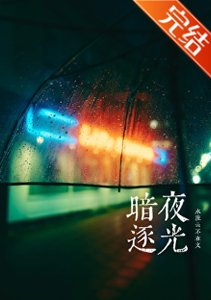 暗夜逐光