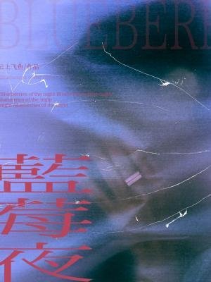 藍莓夜
