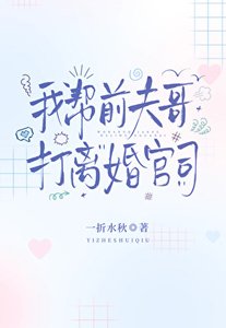我幫前夫哥打離婚官司