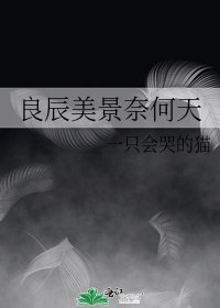 良辰美景奈何天