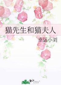 貓先生和貓夫人