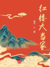(紅樓夢同人)紅樓大當家