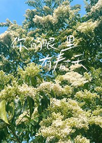 你的眼裏有春天