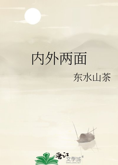 內外兩面