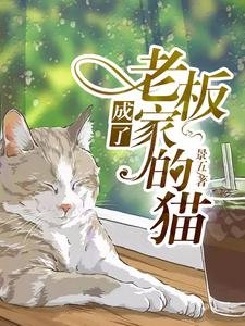 成了老闆家的貓