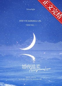 婚夜温柔