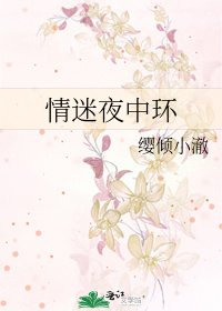 情迷夜中環