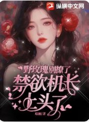 野玫瑰別撩了,禁慾機長上頭了