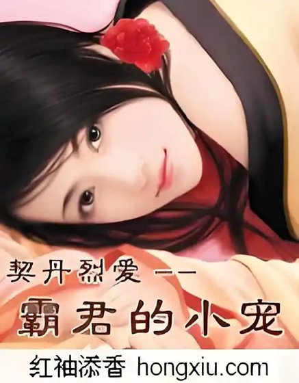契丹烈愛:霸君的小寵【全本】