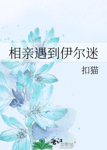 (BG-獵人同人)相親遇到伊爾迷