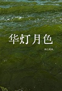 華燈月色