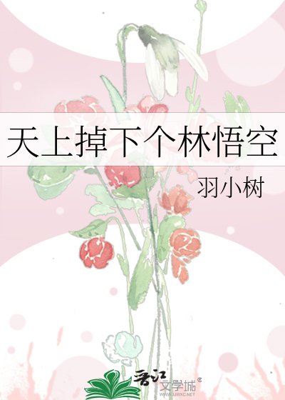 天上掉下個林悟空