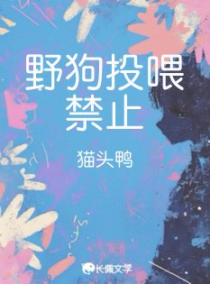 野狗投餵禁止