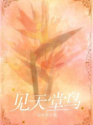 見天堂鳥
