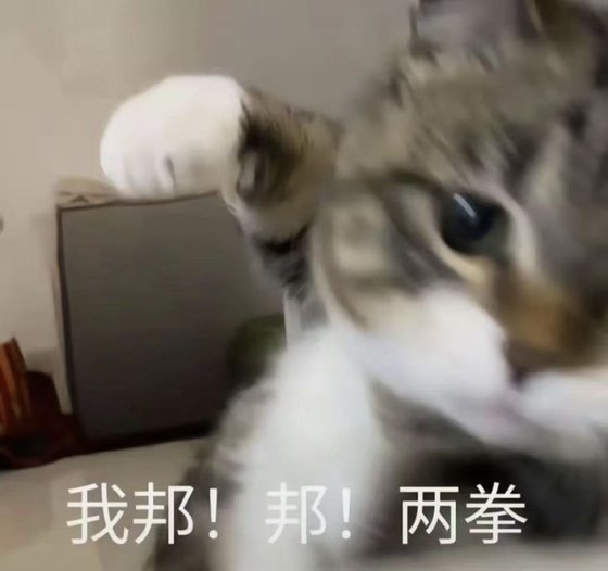【復聯+hp】冬日戰士像貓貓