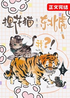 我,狸花貓,撫慰東北虎?