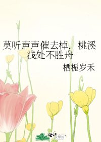 莫聽聲聲催去棹,桃溪淺處不勝舟