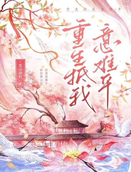 重生抵我意難平