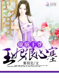 傲嬌王爺:王妃很心塞