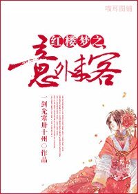 (BG/紅樓夢同人)紅樓夢之意外來客