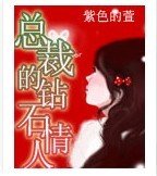 總裁的鑽石情人