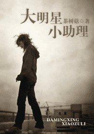 大明星小助理