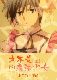 (綜同人)才不是魔法少女