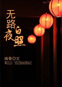 無路夜照白