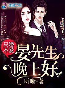只婚不愛:晏先生,晚上好文